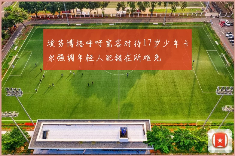 埃芬博格呼吁宽容对待17岁少年卡尔强调年轻人犯错在所难免
