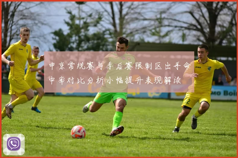 申京常规赛与季后赛限制区出手命中率对比分析小幅提升表现解读