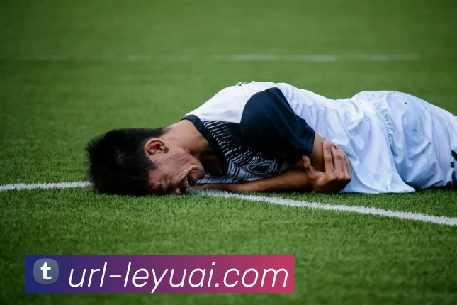 乐鱼体育发展历程